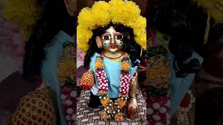 vrindavan jaungi shakhiyoutubeshort viralshort meroladdugopal trendingshortsfeed [upl. by Theobald]