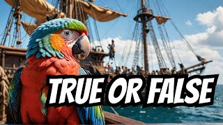 Did Pirates Really Have Parrots [upl. by Ayhdiv]