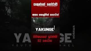 රචකයාගේ ඉරණම 02  sinhala holman katha සිංහල holman හොල්මන් horror horrorfan horrormovie [upl. by Nealy]