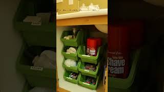 6 Genius UndertheSink Storage Ideas to Organize Your Cabinets [upl. by Eegnat103]