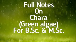 Chara Green algae Thallus Structure amp Lifecycle for BSc MSc amp NEET by Dr AK Sharma [upl. by Reppart]