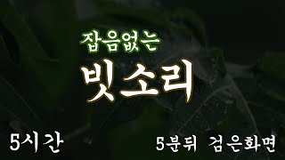 잡음없는 빗소리 5시간 ASMR 5분뒤 검은화면 [upl. by Ash]