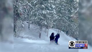 Moose attacks snowmobilers [upl. by Madelon]