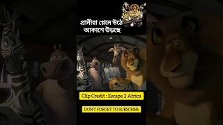 সিংহ জিরাফের প্লেন✈️ ক্র্যাশ করলো 😵‍💫  Bangla Cartoon Animation shorts [upl. by Yssac393]