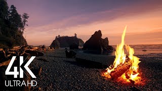 8 Hours 4K Campfire On Beach  Crackling Fire with Ocean Waves Sounds [upl. by Phil]