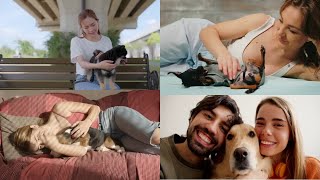 Cuddling your DOG can reduce symptoms after a physically painful ordeal scientists reveal [upl. by Atir]