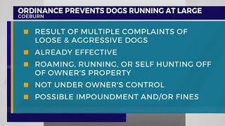 Coeburn adopts ordinance that prohibits dogs running at large after complaints [upl. by Annuahs]