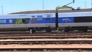 TGV TER INTERCITES INTERLOIRE NANTES 19062017 [upl. by Luy]