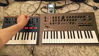 jamuary2019 Day 8  Korg Monologue and Minilogue [upl. by Pengelly524]