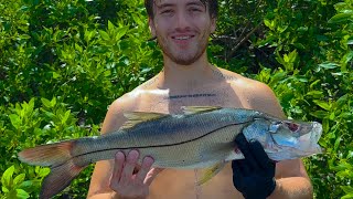 Cazando limpiando y cocinado un pescado en las playas más lindas de Costa Rica [upl. by Terryn]