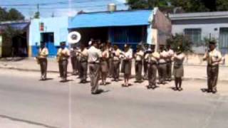 Desfile Gendarmería Nacional Argentina [upl. by Llennoc755]