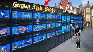 GERMANY EXOTIC FISH STORE TOUR [upl. by Gudrin639]