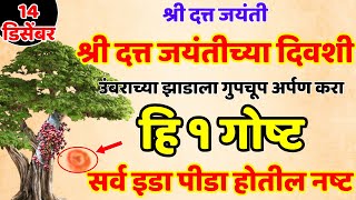 14 डिसेंबर श्री दत्त जयंतीच्या दिवशी उंबराच्या झाडाला गुपचूप अर्पण करा हि Shree Swami Samarth [upl. by Htiduj]