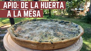 Como Hacer TARTA DE APIO Deliciosa MUY SIMPLE PASO A PASO  De la Huerta a la Mesa [upl. by Twelve]