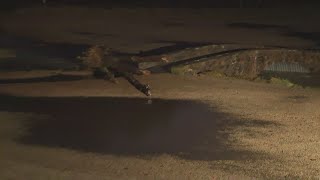 Sedgefield Country Club nearly underwater from flash flooding [upl. by Ocir290]