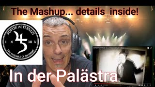 Sopor Aeternus quot in der palastraquot reaction Mashup [upl. by Sorvats]