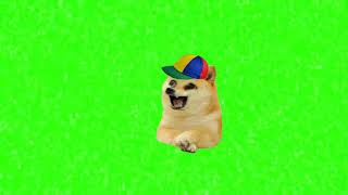 doge bonk green screen [upl. by Egroeg]