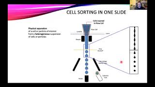 OpenFlow Introduction to Cell Sorting Part II [upl. by Aciraj124]