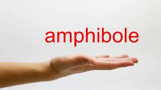 How to Pronounce amphibole  American English [upl. by Assyli]