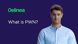 What does PWN mean [upl. by Matejka]