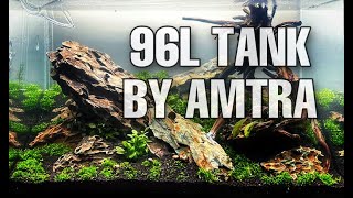 Dragon Stone Aquascape inside of a 96L tank by Amtra [upl. by Furey444]