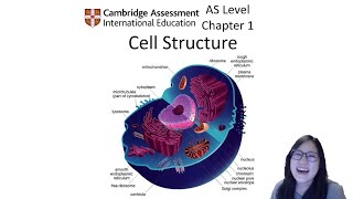 Chapter 11  Microscopy  Cambridge ALevel 9700 Biology [upl. by Mizuki]