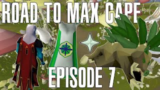 HUNTER and the TRIMMED Quest Cape  Episode 7 Road to Max Cape OSRS Endgame Ironman Series [upl. by Nonna225]