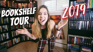 updated bookshelf tour 2019 [upl. by Attekahs]