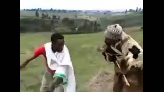 Ethiopian Comedy Kibebew Geda [upl. by Jasper]