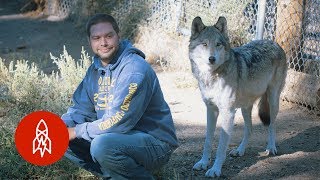 quotVivir con lobos me salvó la vidaquot [upl. by Netsuj]