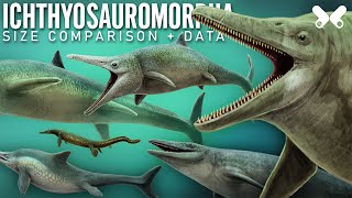 ICHTHYOSAURS and relatives  Size comparison and data [upl. by Lyndsey]