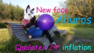 New Aliuros  Qualatex 24quot inflation [upl. by Adah551]