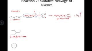 4 3 14 oxidative cleavage of alkenes examples [upl. by Elac]