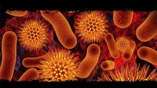 14 comparison between bacteriocin and antibiotic شرح [upl. by Assadah]