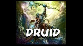 Dungeons and Dragons The Druid [upl. by Tteraj]