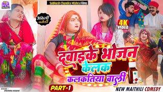 🌟PART 1पहला भाग  दवाई के भोजन केलक कलकतियावाली  NEW MAITHILI COMEDY 2024  kalkatiyawali piphi [upl. by Lolly]