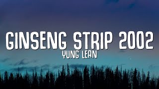 Yung Lean  Ginseng Strip 2002 Lyrics quotbitches come and go brahquot TikTok Song [upl. by Dinin]