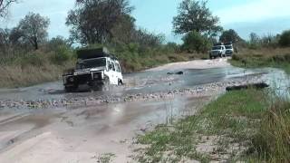 Moremi Game Reserve Botswana HD [upl. by Thia348]