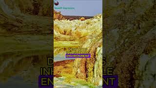 The Danakil Depression  Earths Extreme Geological Wonder facts Danakil Geological Depression [upl. by Atela]