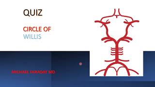 QUIZ ON THE CIRCLE OF WILLIS [upl. by Aes]