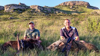 HUNTING BUSHPIG IN THE DRAKENSBERG Adrenalinepacked WalkampStalk II Schnitzels Nuggets amp Cracklings [upl. by Kacerek187]