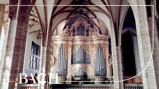 The Silbermann organ in Freiberg  Netherlands Bach Society [upl. by Anuait]