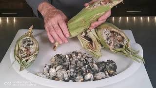 What is fresh Huitlacoche Corn Smut Mold Fungus how does it grow look taste what to do with it [upl. by Katey]