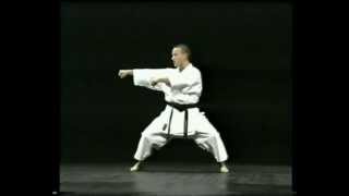 Kata Tekki Shodan  Michael Milon [upl. by Limak]