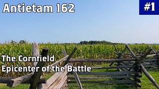 The Cornfield and Epicenter  Antietam Battlefield Tour  Antietam 162 [upl. by Irrac]