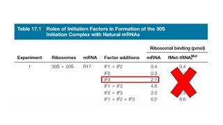 Table 171 IF3 and IF2 and bringing mRNA and fMettRNA to the ribosome [upl. by Edmee]