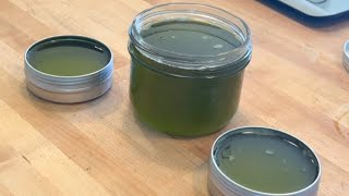 Plantain Salve Say Goodbye to Bug Itch [upl. by Edahc]