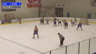 Homestead vs Carroll  Fort Wayne Amateur Hockey  SummitCitySports [upl. by Attenad]