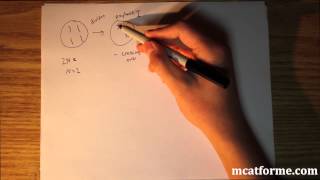 MCAT Biology Lecture Meiosis [upl. by Dena]