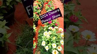 2024 Dasara Flower Show  Flower Plants arrive ❤️ [upl. by Gregor]